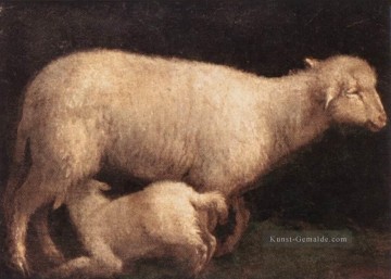 Schaf und Lamm Jacopo da Ponte Jacopo Bassano Tier Ölgemälde